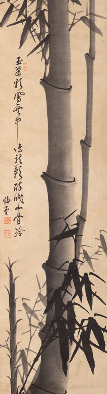 Katen (Kaidó) - Bambus
