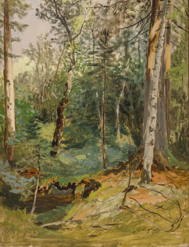 Julius Mařák - Swamp in a Forest