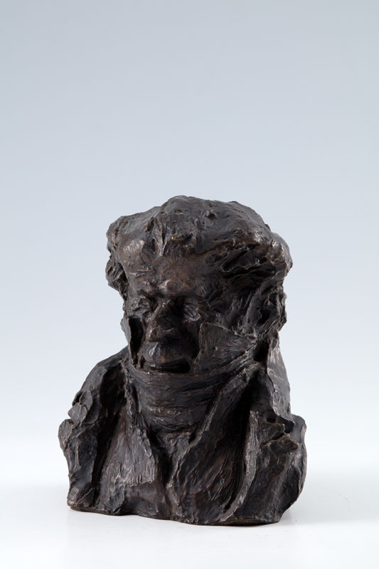 Honoré Daumier - Podobizna (Jean-Pons-Guillaume Viennet)