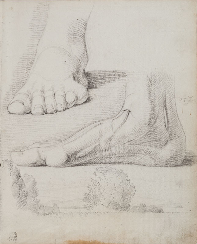 František Tkadlík - Sheet from Sketchbook C - anatomical study of feet; landscape sketch