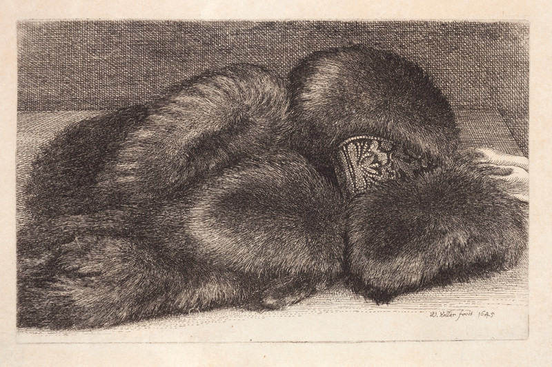 Václav Hollar - engraver - Still Life with Muff Muff with Brocade Band and with Furs